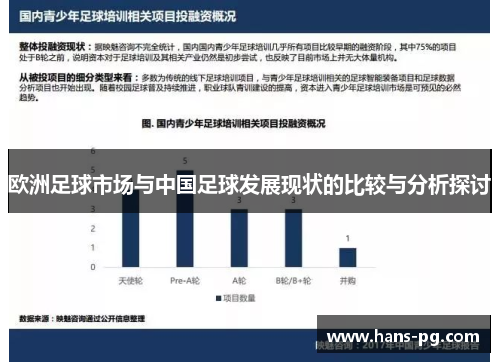 欧洲足球市场与中国足球发展现状的比较与分析探讨