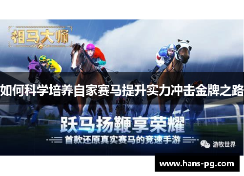 如何科学培养自家赛马提升实力冲击金牌之路