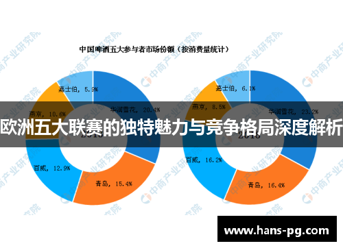 欧洲五大联赛的独特魅力与竞争格局深度解析