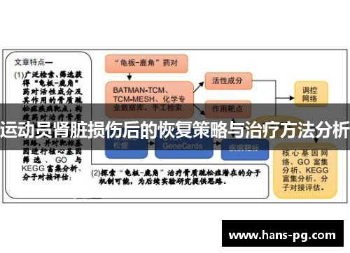 运动员肾脏损伤后的恢复策略与治疗方法分析